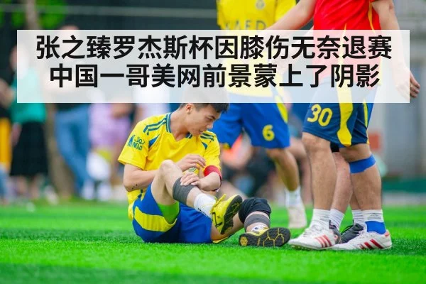 张之臻罗杰斯杯因膝伤无奈退赛 中国一哥美网前景蒙上了阴影